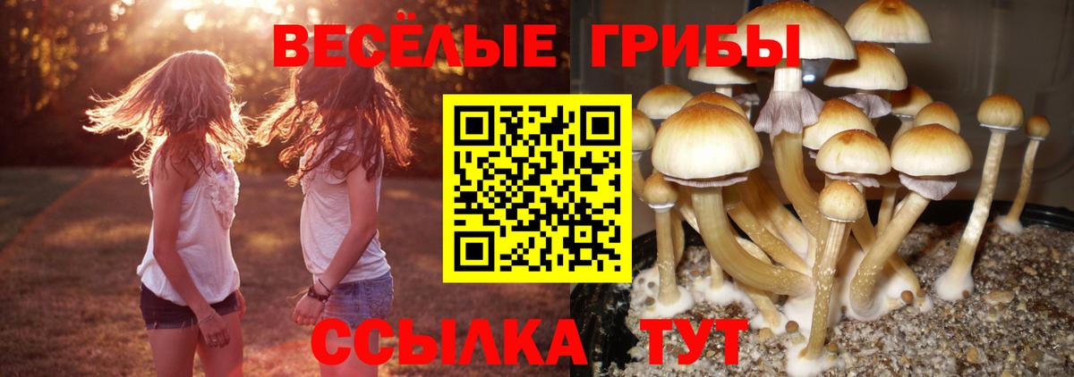 Псилоцибиновые грибы ЛСД  Вход с VPN  Усть-Илимск  Псилоцибиновые грибы GOLDEN TEACHER 